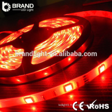 CE RoHS DC12V 3825SMD 60LEDS 4.8W IP20 Lampadaire à LED bon marché, 3825 SMD LED Strip Light